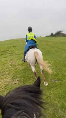 Studland Trekking Centre thumb 8